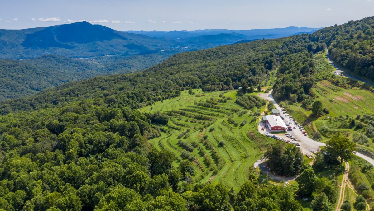 Pumpkin Patches, Corn Mazes & Hayrides at Farms in NC